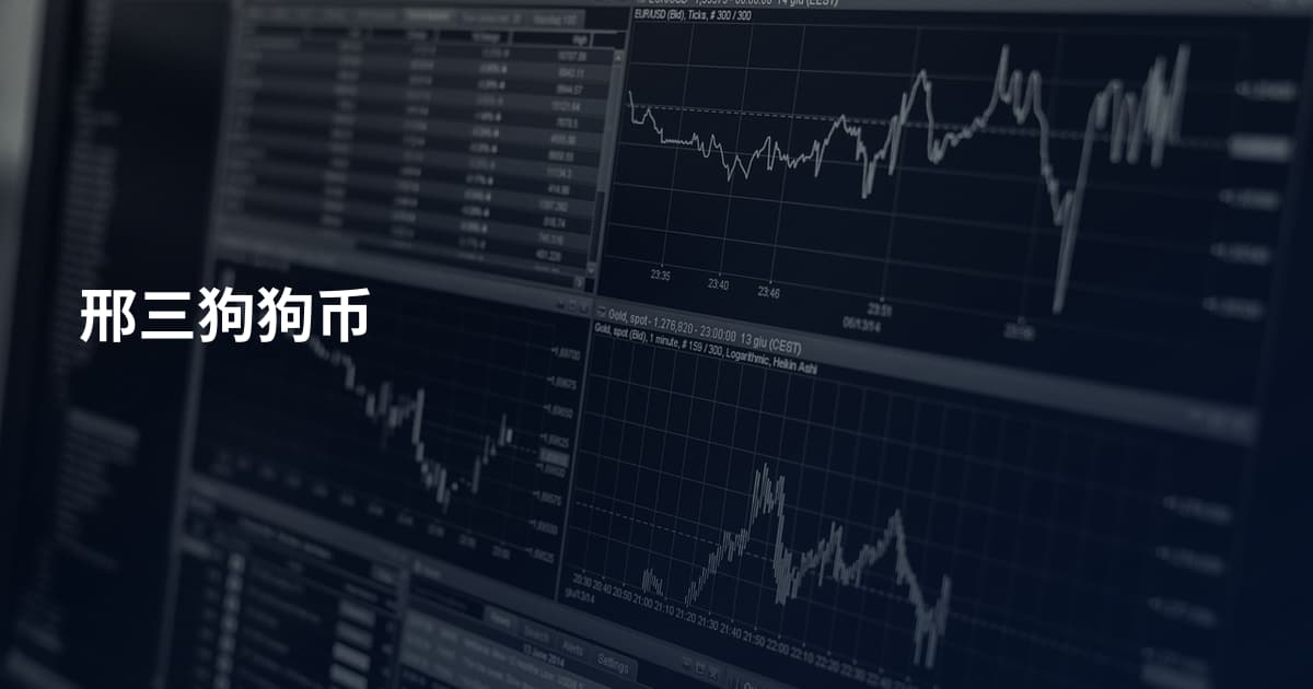 邢三狗狗币