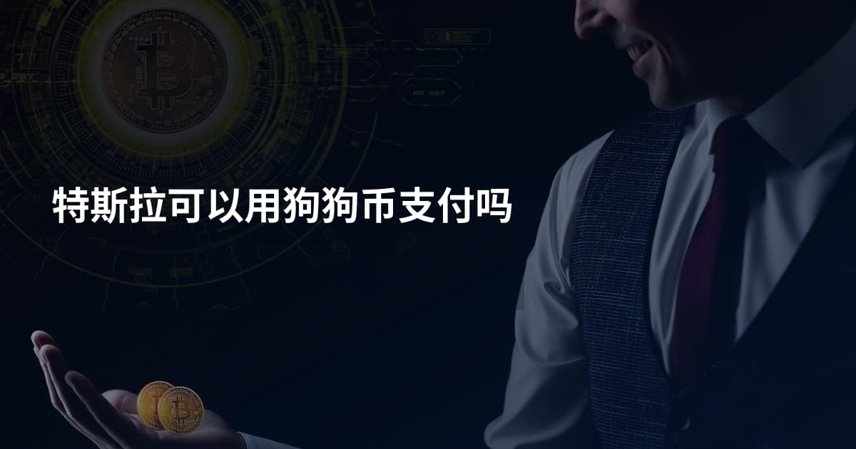特斯拉可以用狗狗币支付吗
