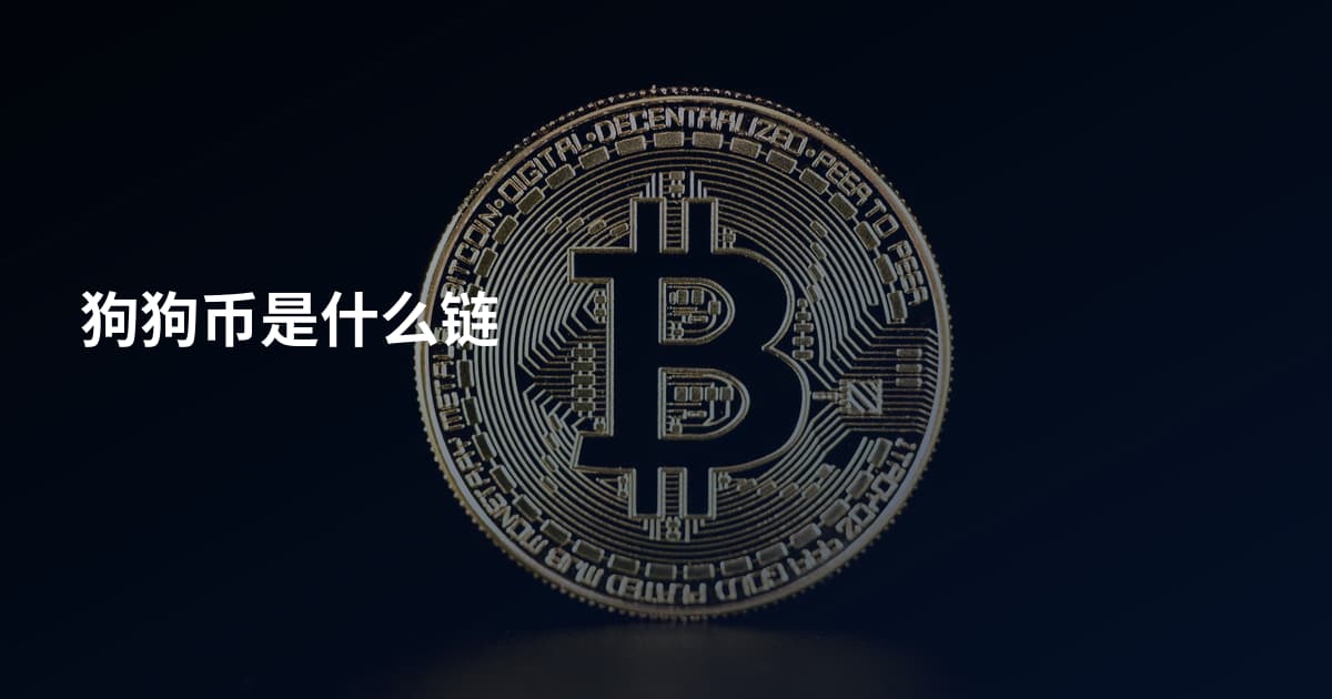 狗狗币是什么链