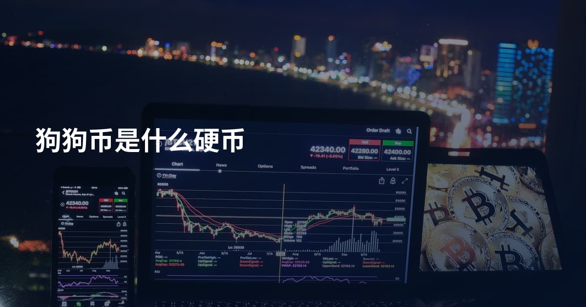 狗狗币是什么硬币