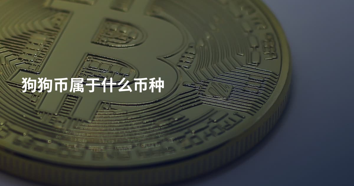 狗狗币属于什么币种