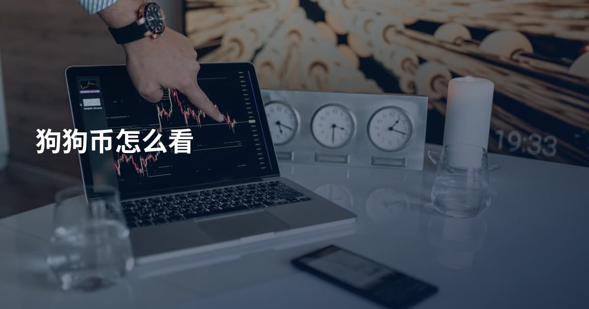 狗狗币怎么看