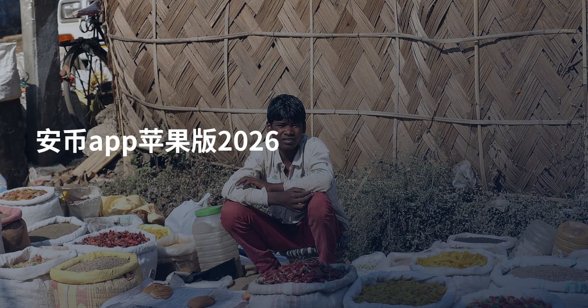 安币app苹果版2026