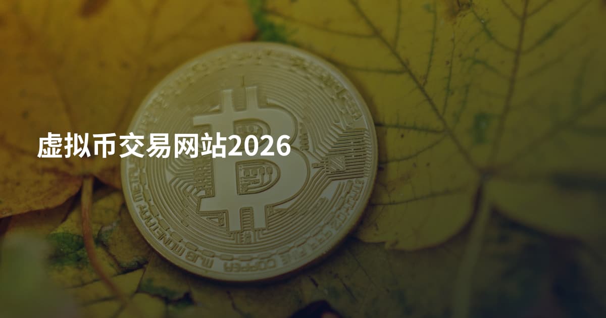 虚拟币交易网站2026