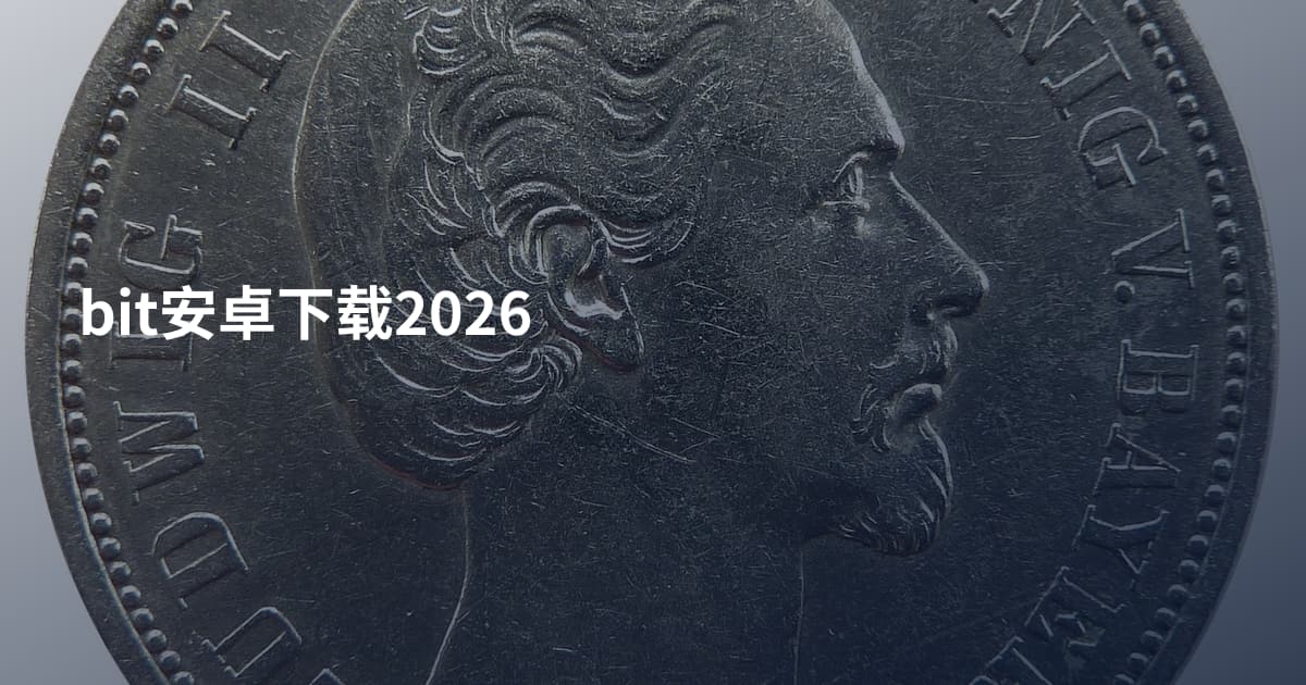 bit安卓下载2026