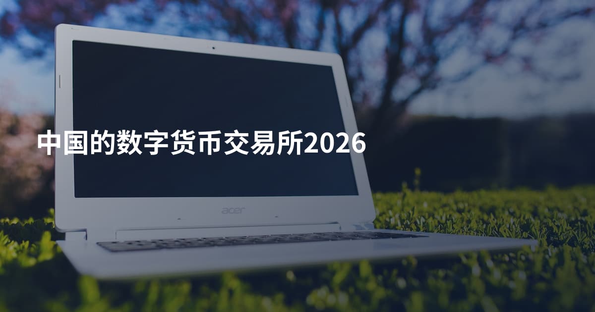 中国的数字货币交易所2026