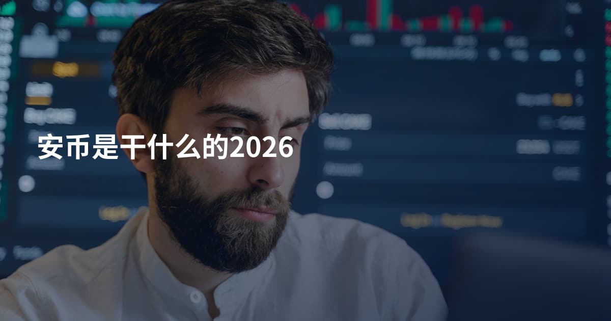 安币是干什么的2026
