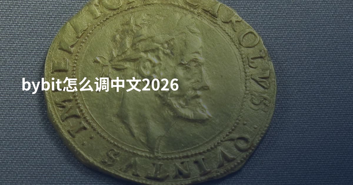 bybit怎么调中文2026