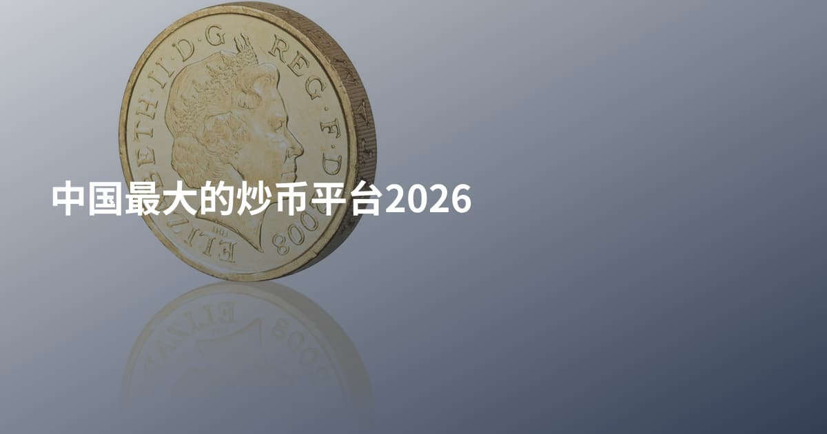 中国最大的炒币平台2026