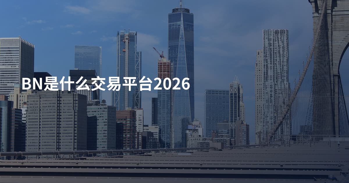 BN是什么交易平台2026