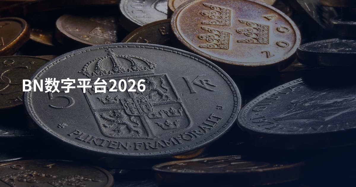 BN数字平台2026
