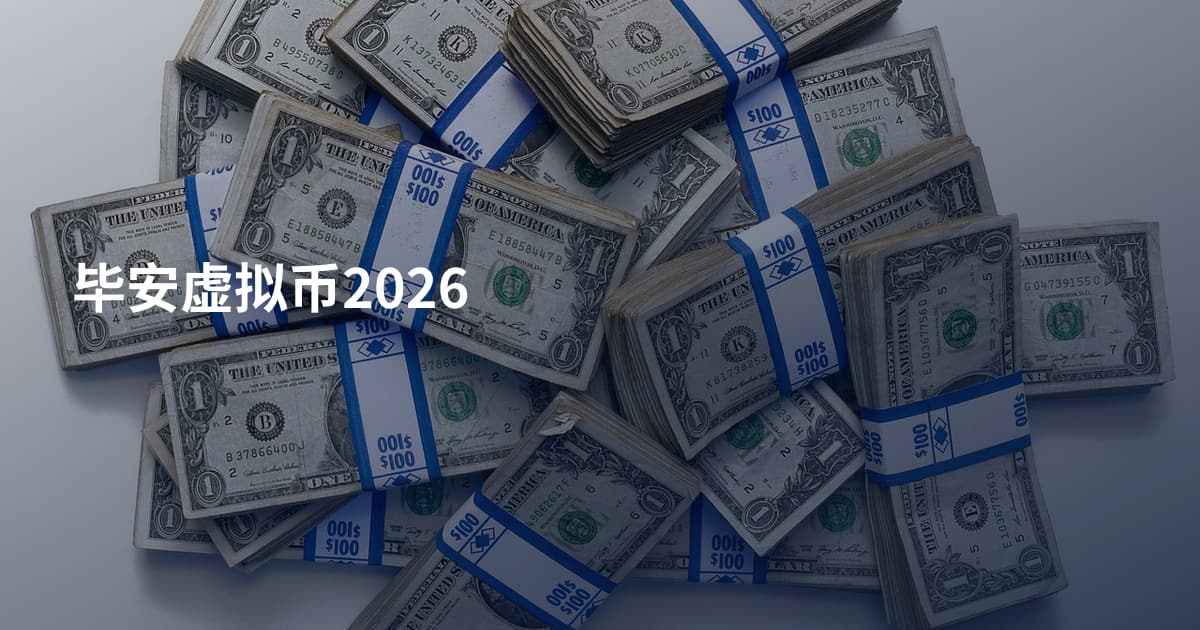 毕安虚拟币2026