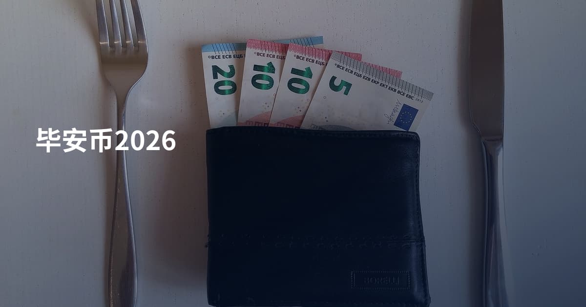 毕安币2026
