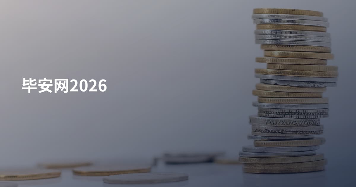 毕安网2026