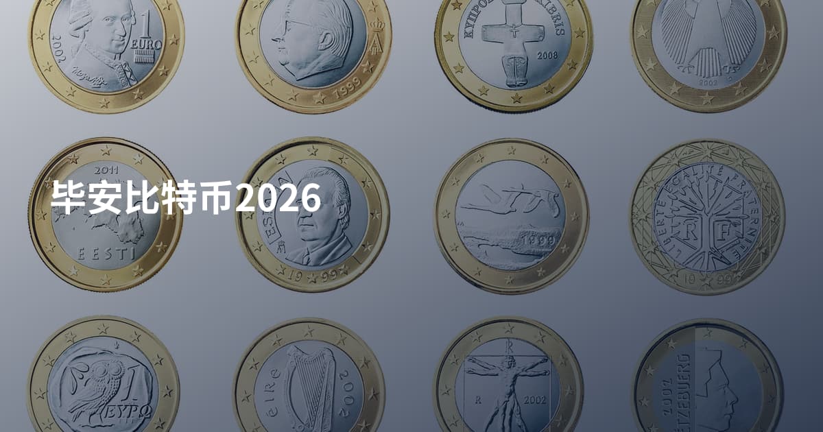 毕安比特币2026