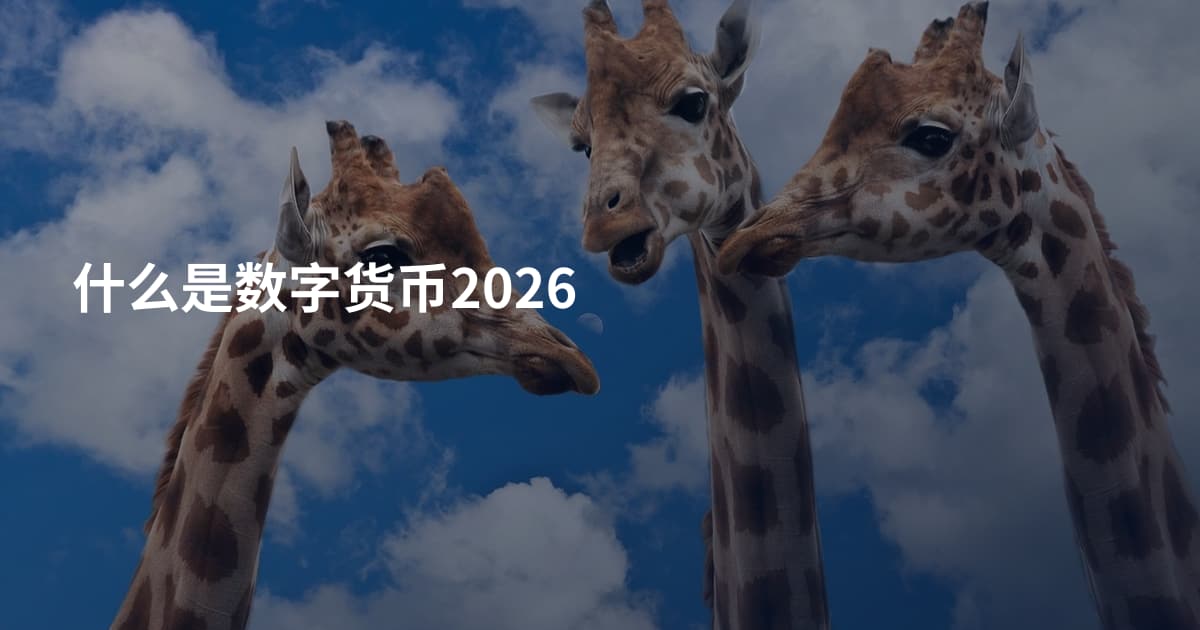什么是数字货币2026