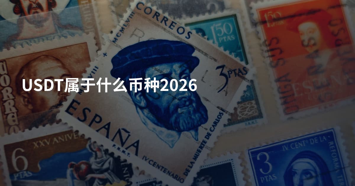 USDT属于什么币种2026