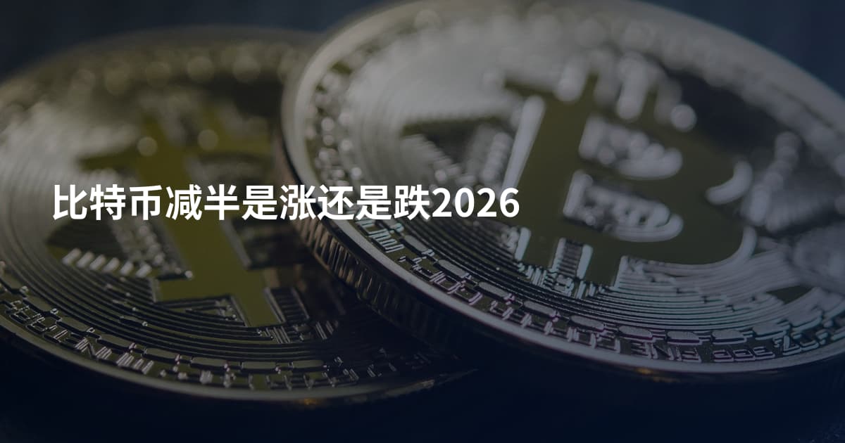 比特币减半是涨还是跌2026