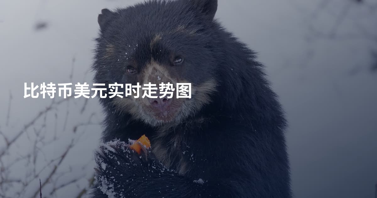 比特币美元实时走势图