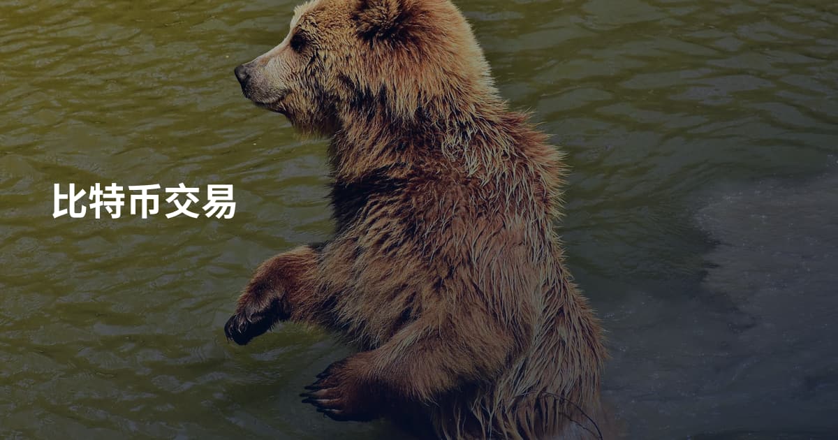 比特币交易