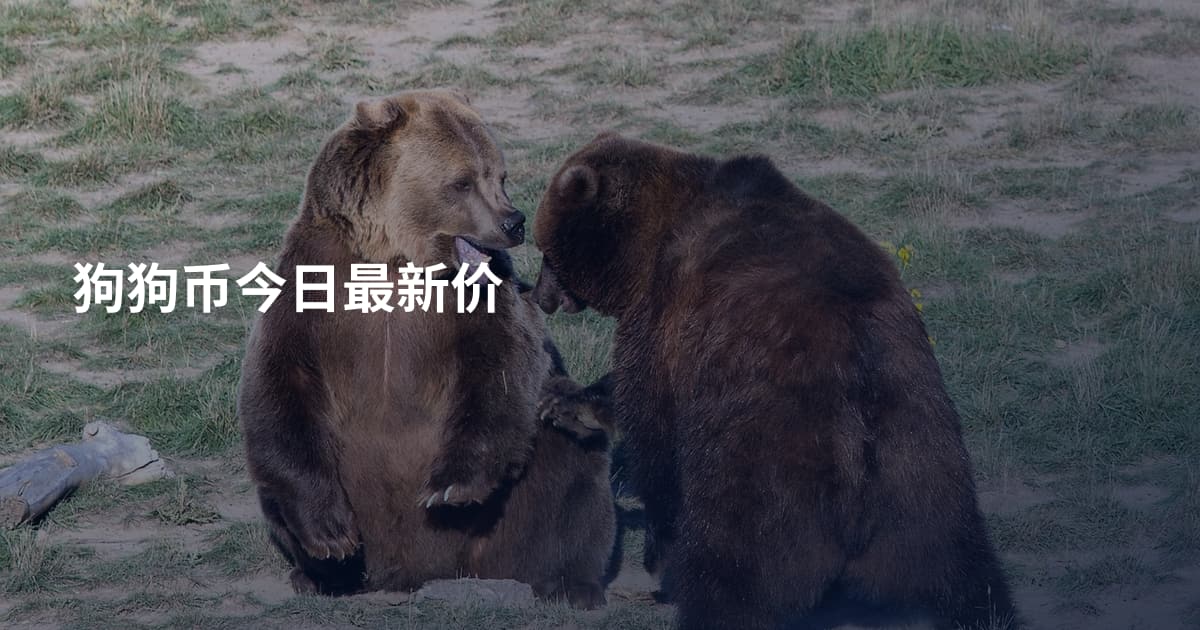 狗狗币今日最新价