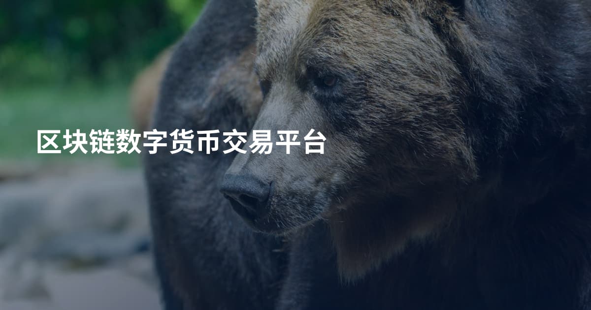 区块链数字货币交易平台