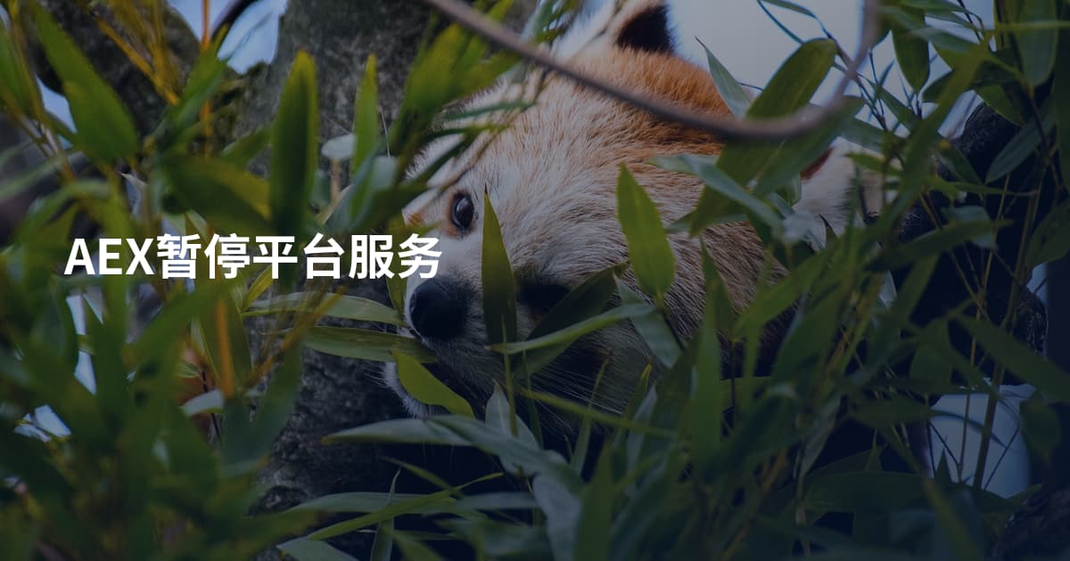 AEX暂停平台服务