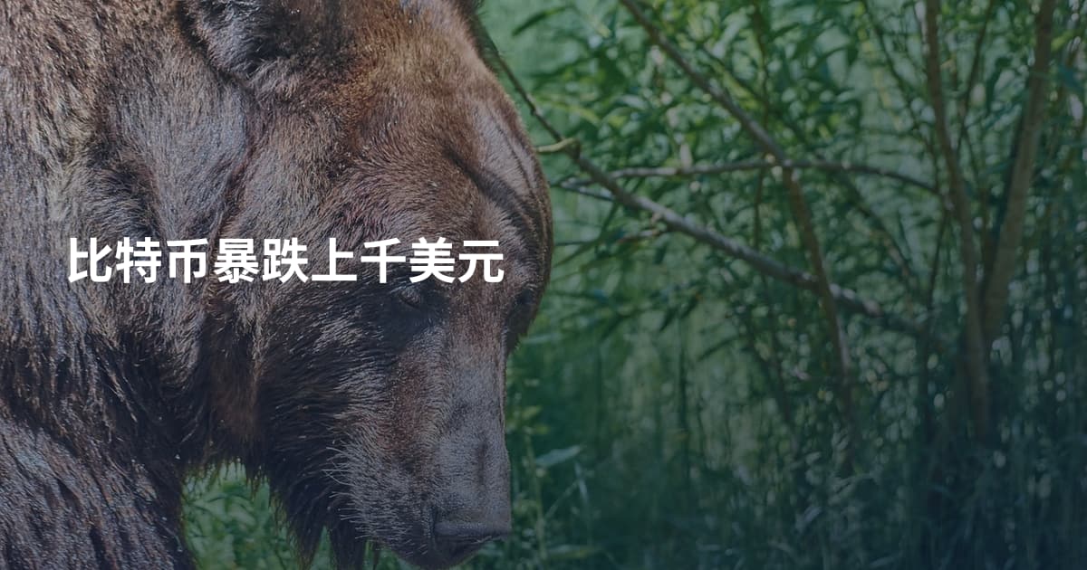 比特币暴跌上千美元