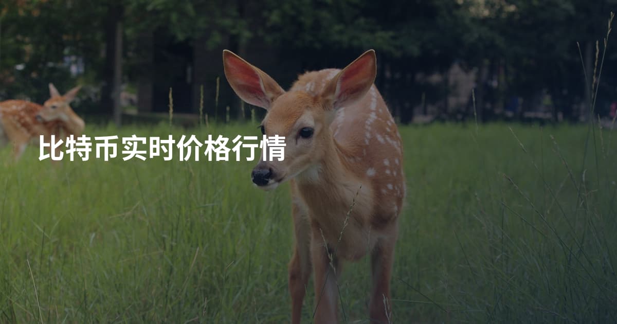 比特币实时价格行情