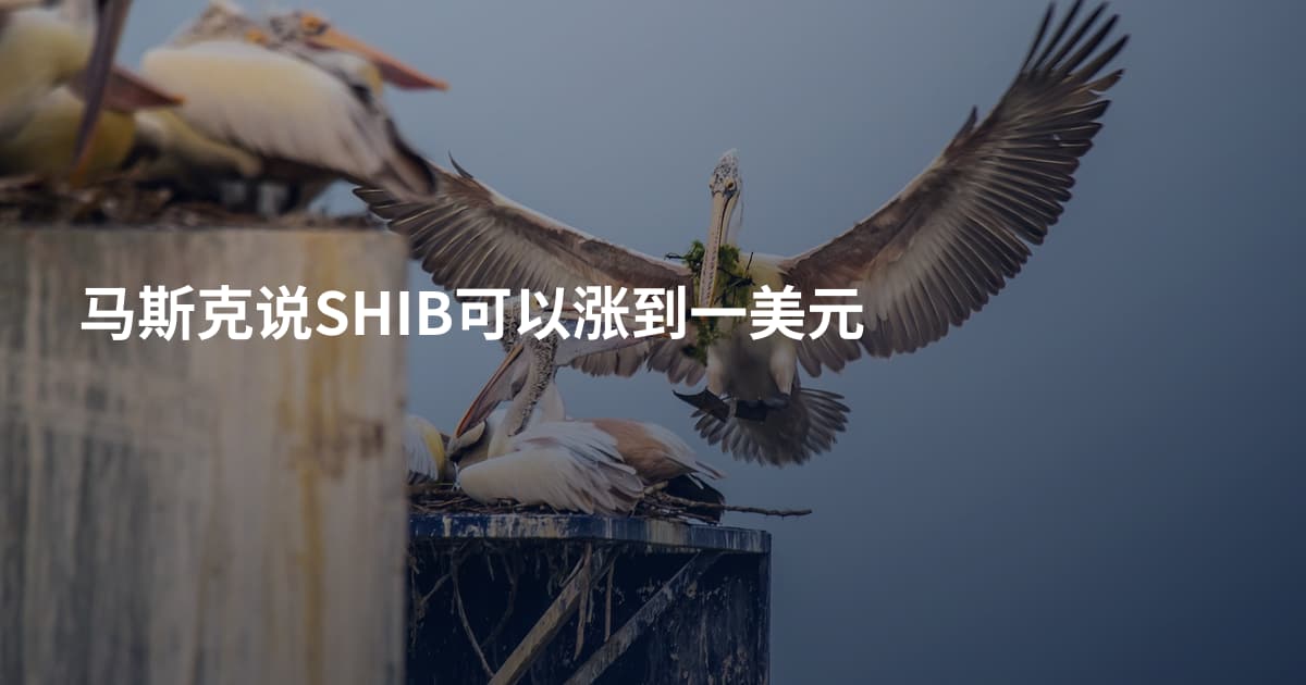 马斯克说SHIB可以涨到一美元