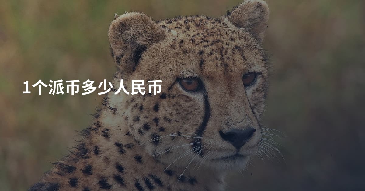 1个派币多少人民币