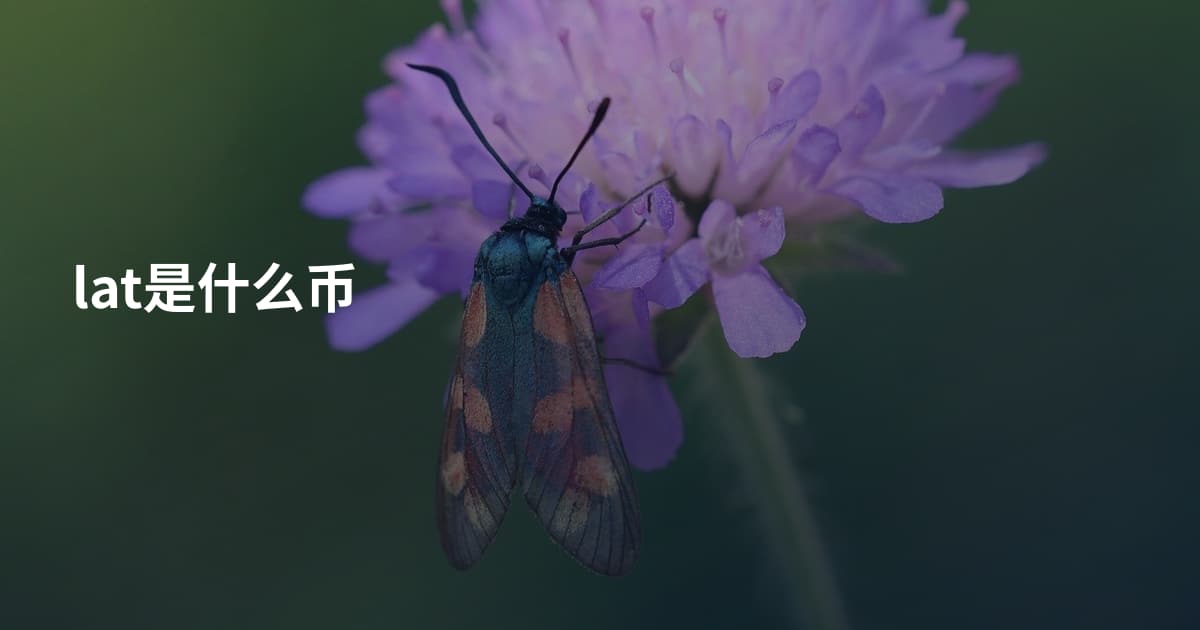 lat是什么币