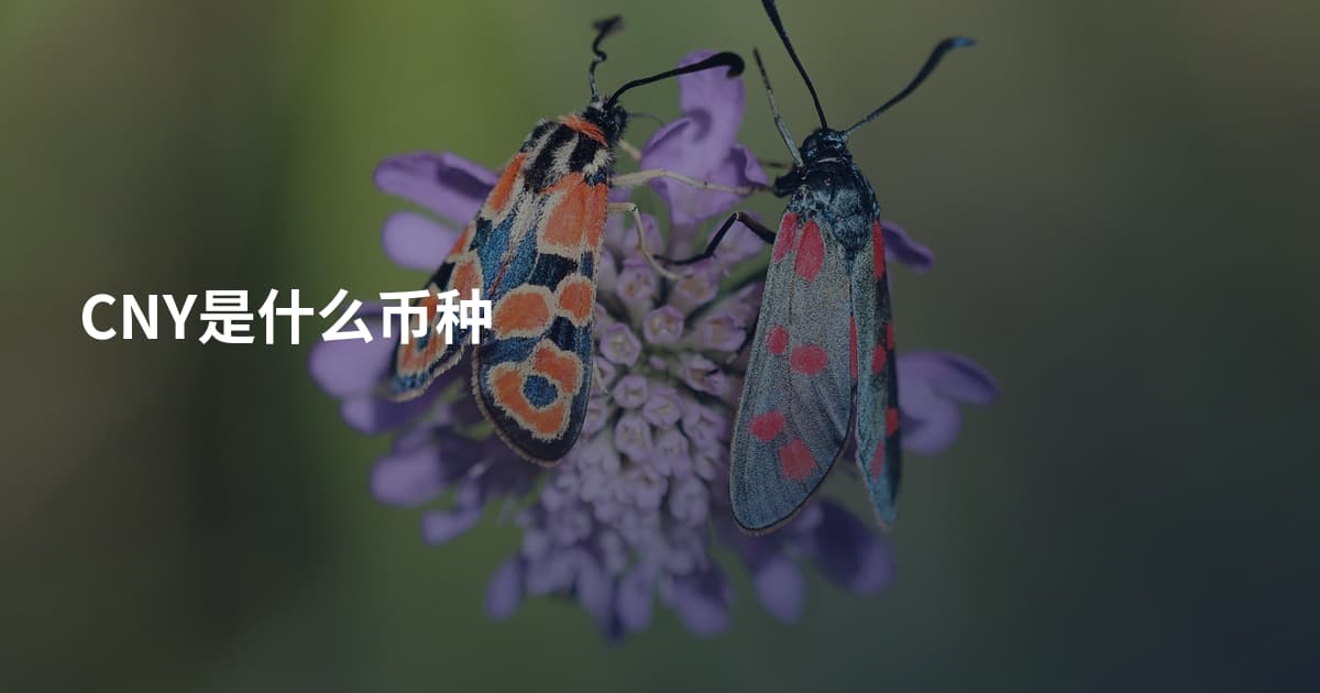 CNY是什么币种
