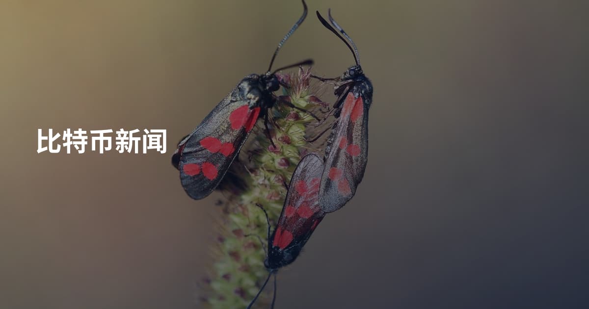 比特币新闻
