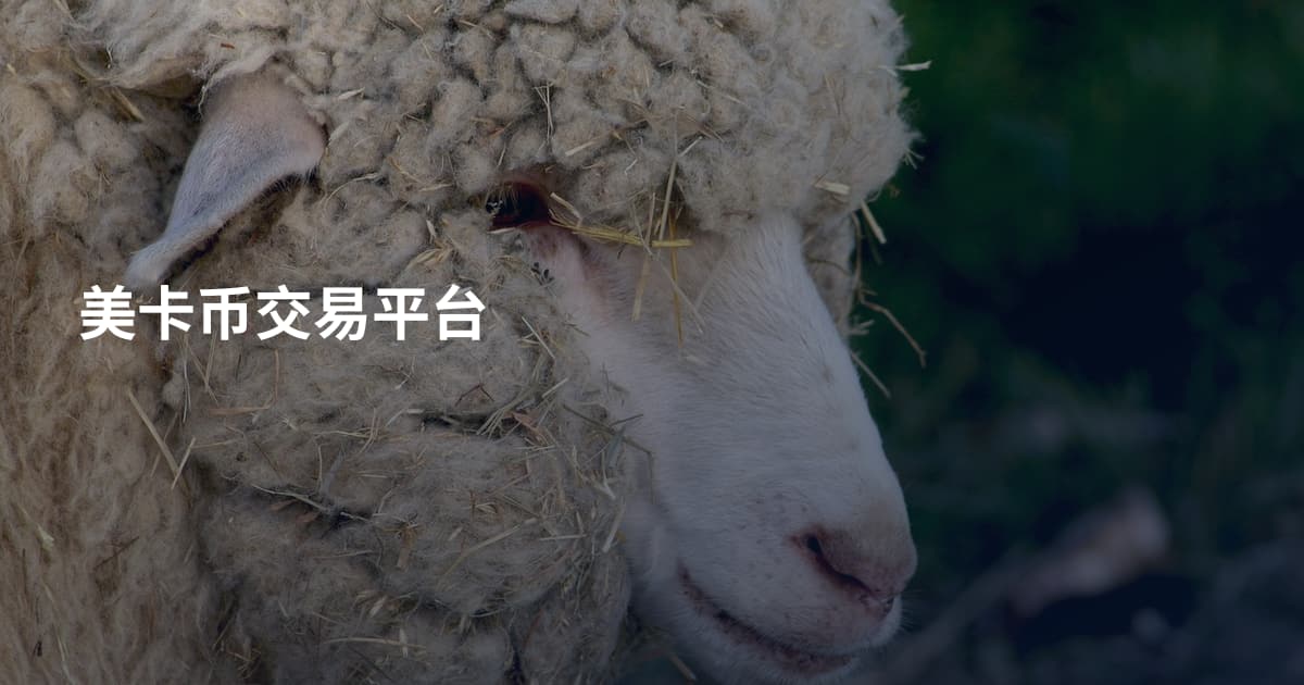 美卡币交易平台