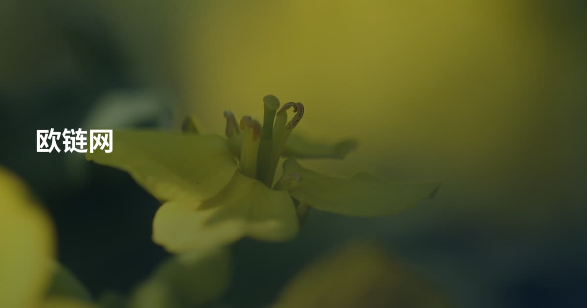 欧链网