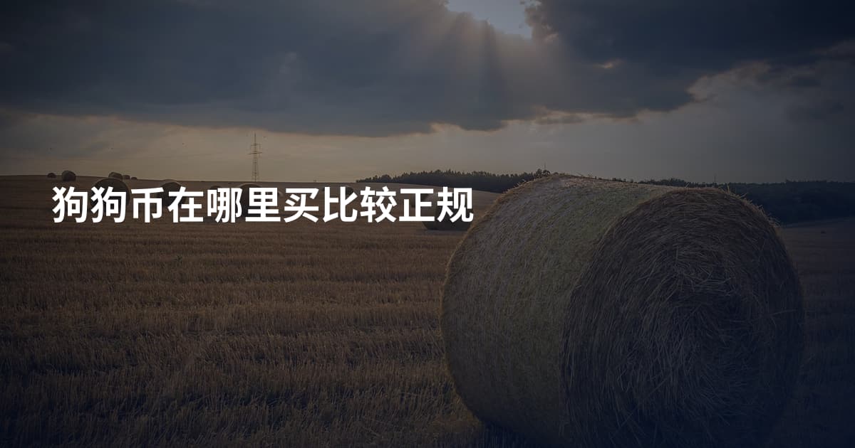 狗狗币在哪里买比较正规