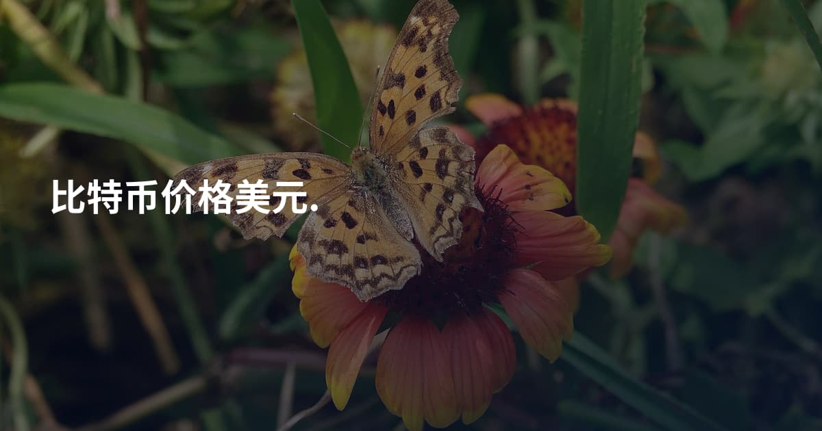 比特币价格美元.