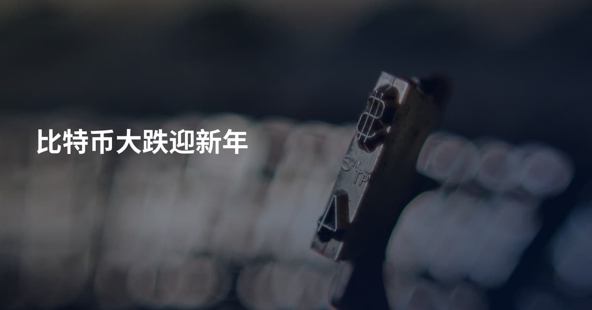 比特币大跌迎新年