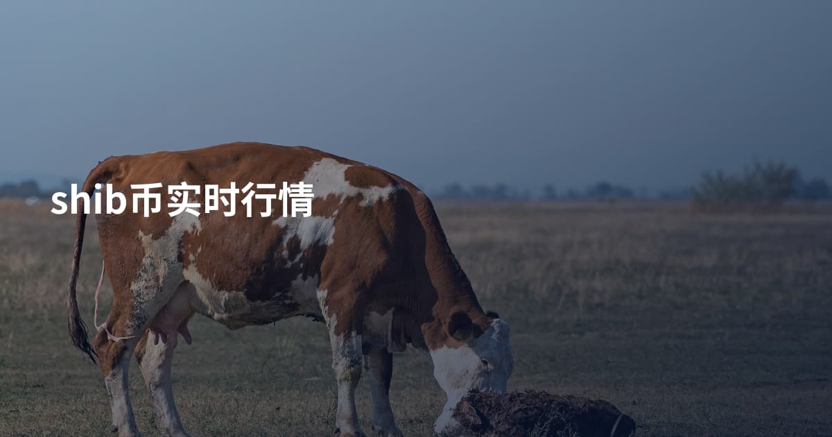 shib币实时行情