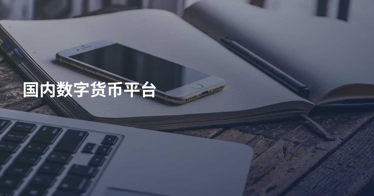 国内数字货币平台