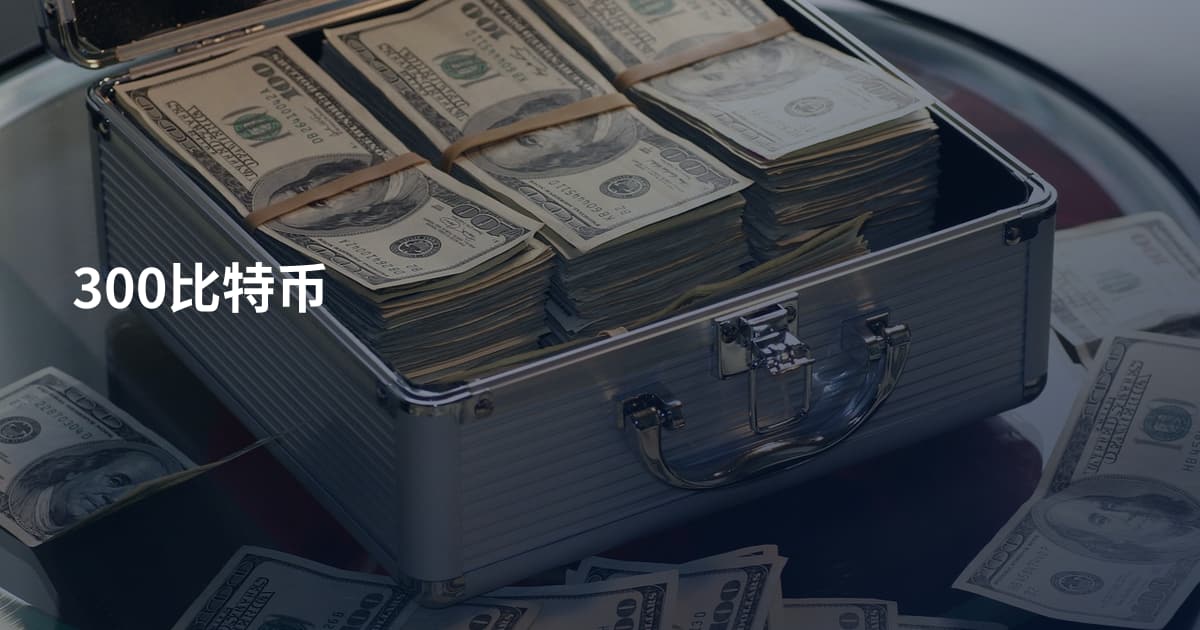 300比特币