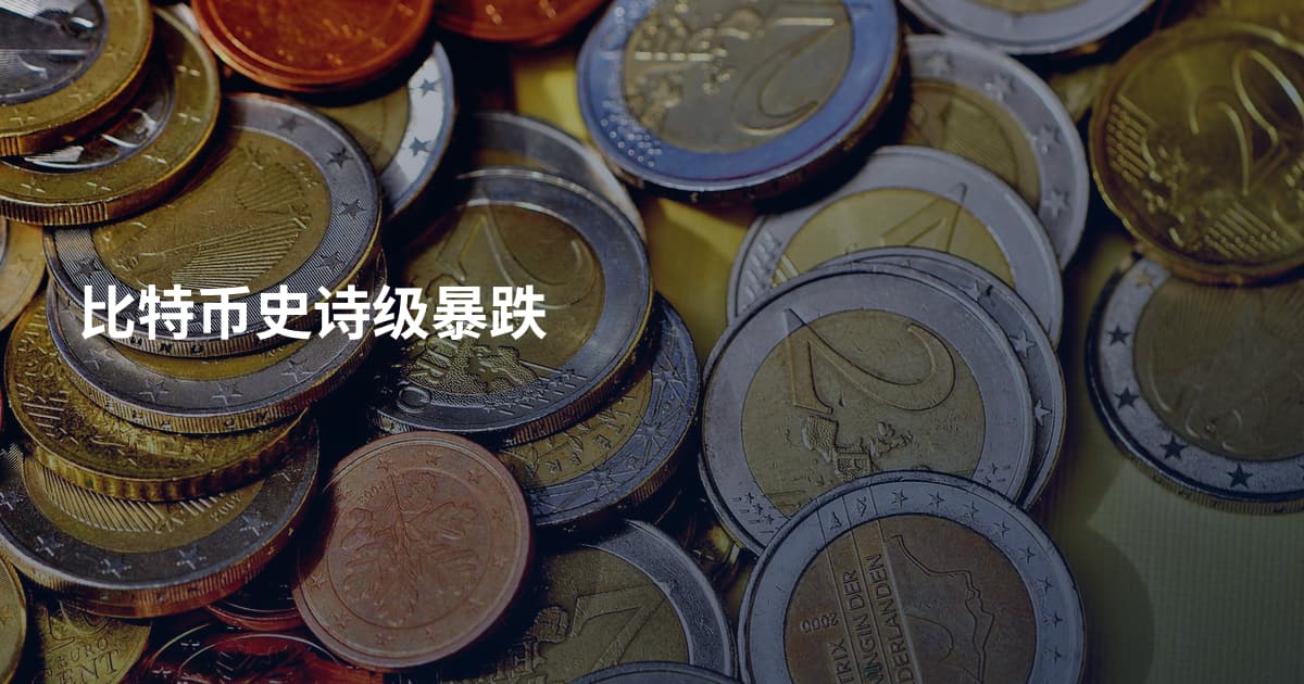 比特币史诗级暴跌