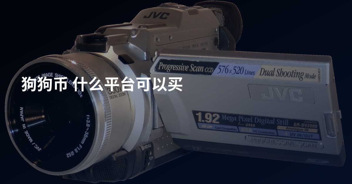 狗狗币 什么平台可以买