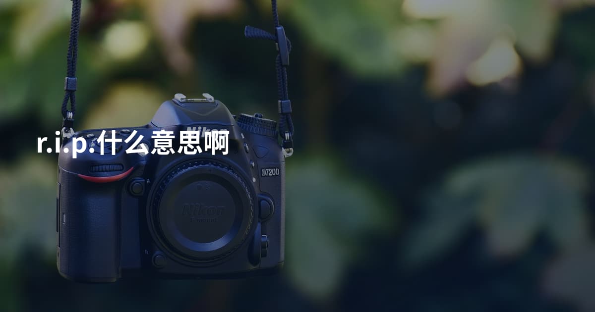 r.i.p.什么意思啊