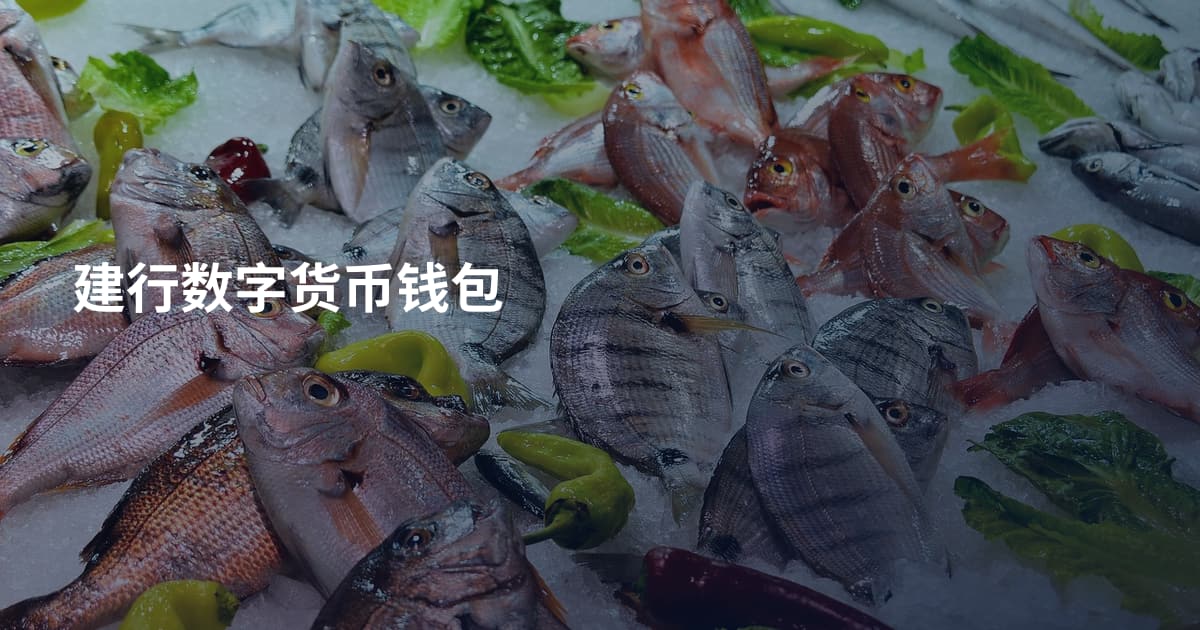 建行数字货币钱包