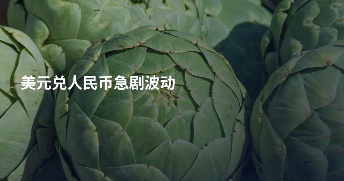 美元兑人民币急剧波动