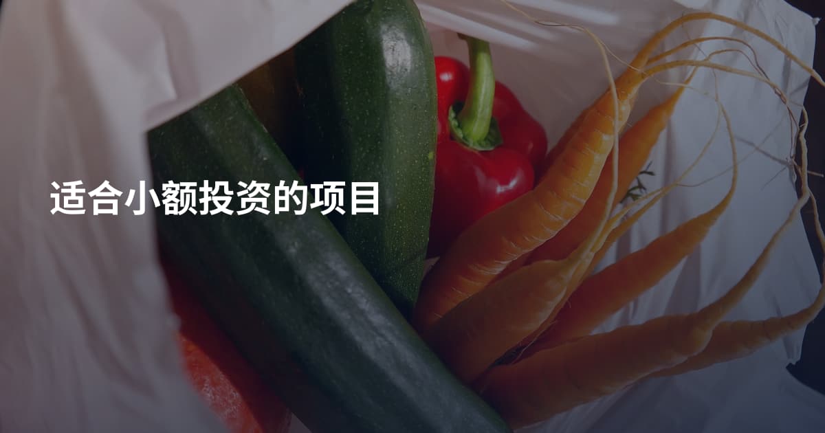 适合小额投资的项目