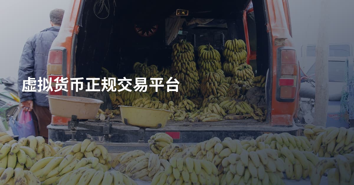 虚拟货币正规交易平台