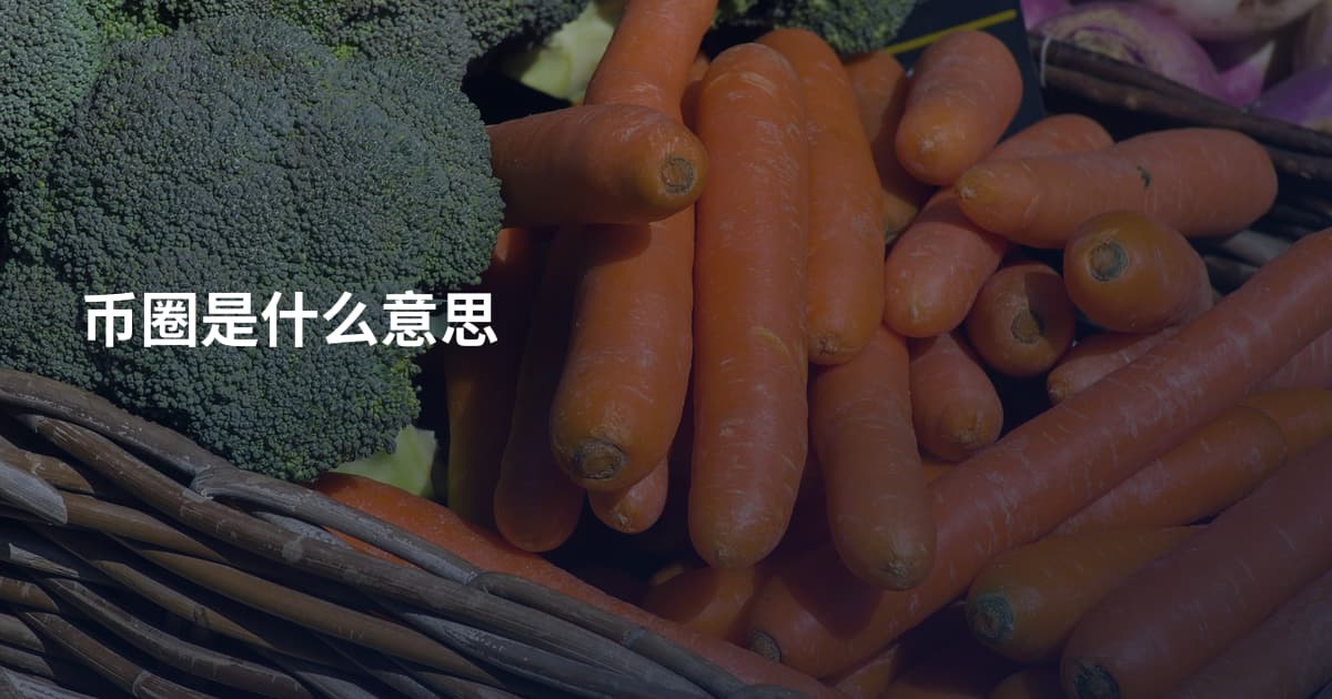 币圈是什么意思
